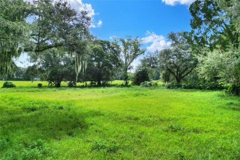 Terrain à vendre à Valrico, Floride № 1376147 - photo 7