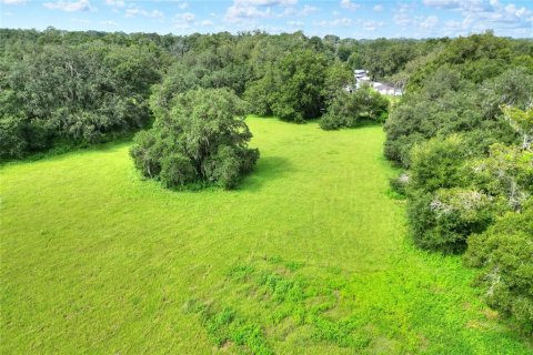 Terreno en venta en Valrico, Florida № 1376147 - foto 12