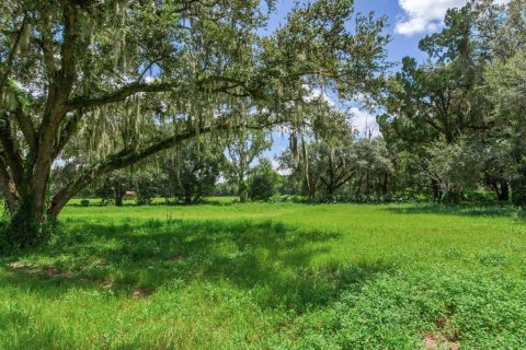 Land in Valrico, Florida № 1376147 - photo 14