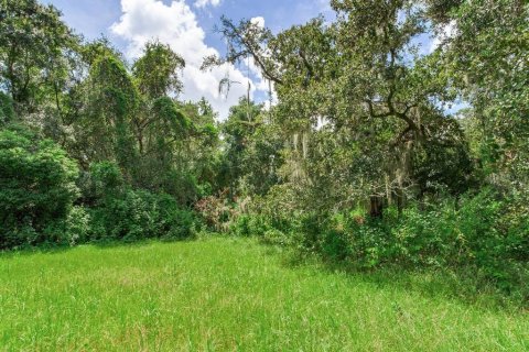 Land in Valrico, Florida № 1376147 - photo 25