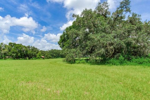 Land in Valrico, Florida № 1376147 - photo 21