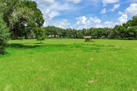 Land in Valrico, Florida № 1376147 - photo 30