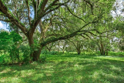 Land in Valrico, Florida № 1376147 - photo 15