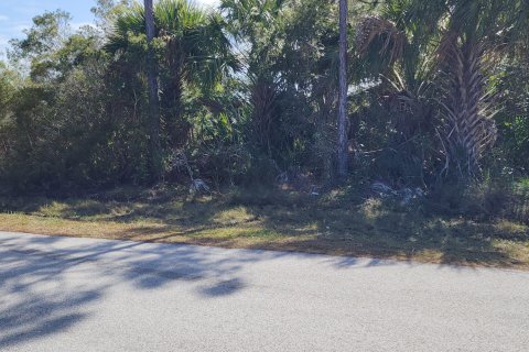 Купить земельный участок в Палм-Бей, Флорида № 1002772 - фото 5