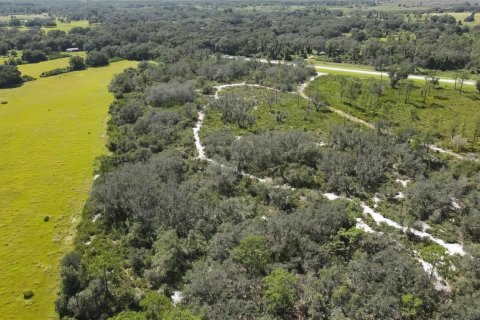 Terreno en venta en Okeechobee, Florida № 976615 - foto 7