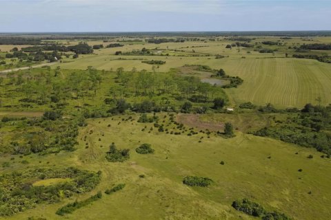 Land in Okeechobee, Florida № 976615 - photo 9