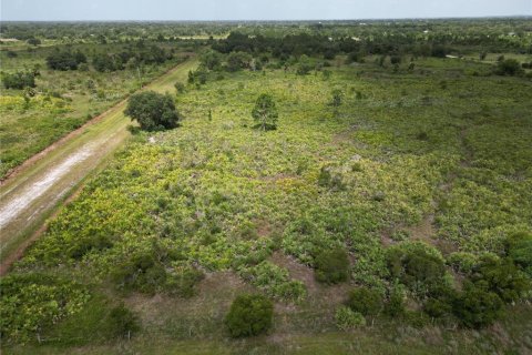 Land in Okeechobee, Florida № 1379910 - photo 2