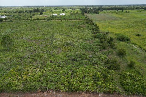 Land in Okeechobee, Florida № 1379910 - photo 4