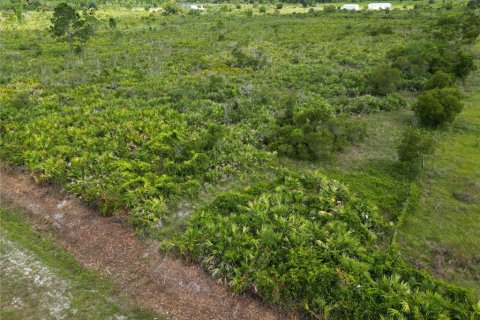 Land in Okeechobee, Florida № 1379910 - photo 3