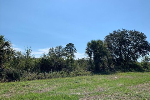 Terreno en venta en Okeechobee, Florida № 1379910 - foto 13