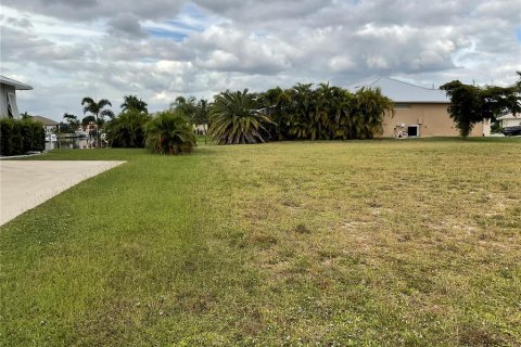 Land in Punta Gorda, Florida № 1388424 - photo 19