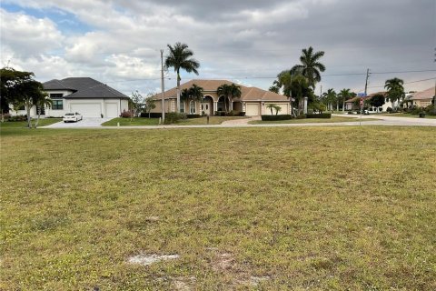 Land in Punta Gorda, Florida № 1388424 - photo 17