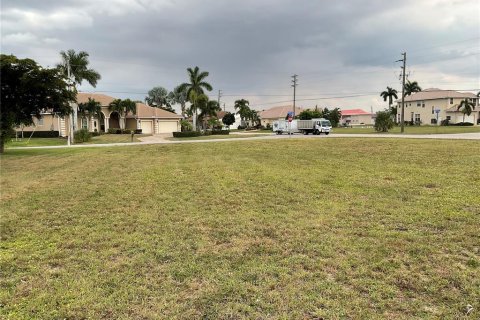 Land in Punta Gorda, Florida № 1388424 - photo 13