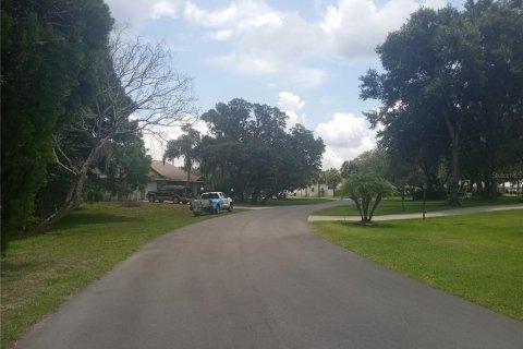 Terreno en venta en Leesburg, Florida № 1312314 - foto 1