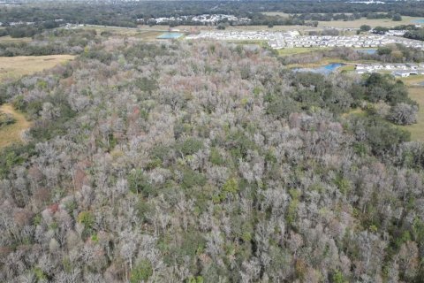 Land in Zephyrhills, Florida № 1001321 - photo 28