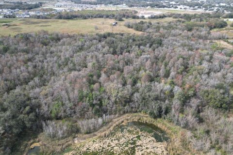 Land in Zephyrhills, Florida № 1001321 - photo 5