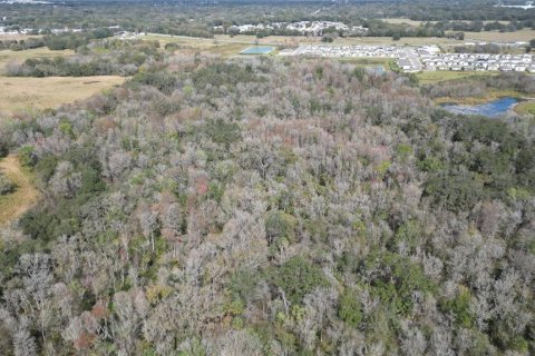 Land in Zephyrhills, Florida № 1001321 - photo 23