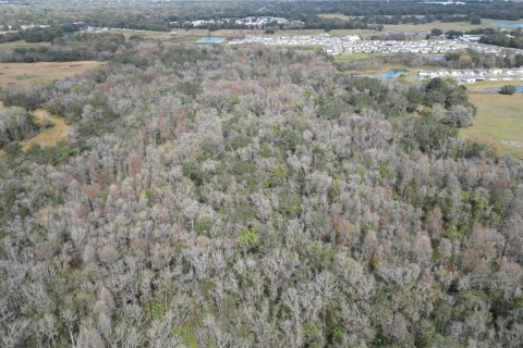 Land in Zephyrhills, Florida № 1001321 - photo 30