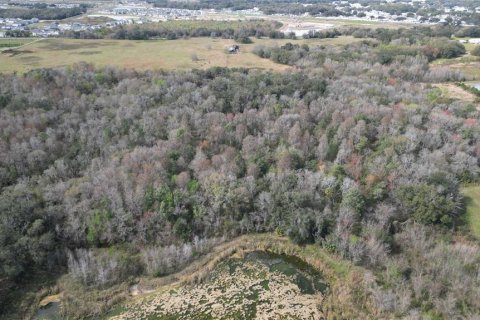 Land in Zephyrhills, Florida № 1001321 - photo 26