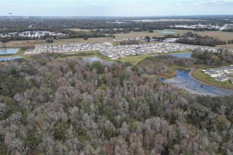 Land in Zephyrhills, Florida № 1001321 - photo 9