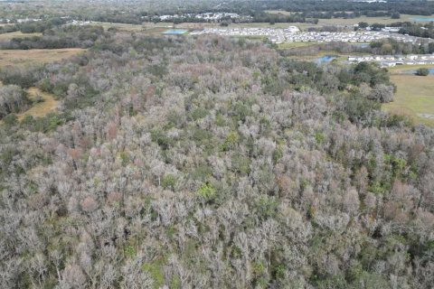 Land in Zephyrhills, Florida № 1001321 - photo 22