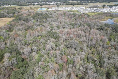 Land in Zephyrhills, Florida № 1001321 - photo 13