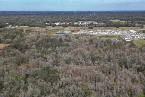 Land in Zephyrhills, Florida № 1001321 - photo 10