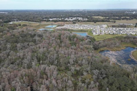 Land in Zephyrhills, Florida № 1001321 - photo 8