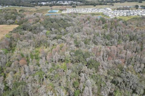 Land in Zephyrhills, Florida № 1001321 - photo 15