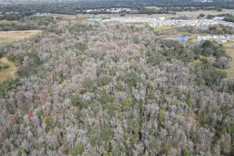 Land in Zephyrhills, Florida № 1001321 - photo 20