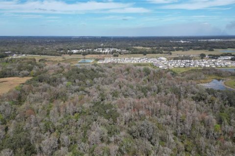 Land in Zephyrhills, Florida № 1001321 - photo 12