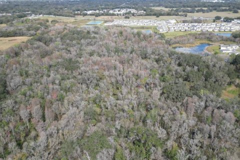 Land in Zephyrhills, Florida № 1001321 - photo 18