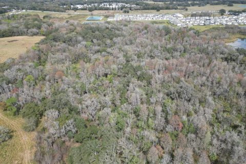 Land in Zephyrhills, Florida № 1001321 - photo 14