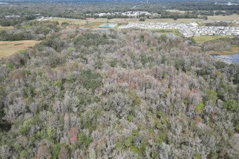 Land in Zephyrhills, Florida № 1001321 - photo 1