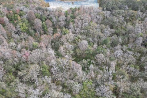 Land in Zephyrhills, Florida № 1001321 - photo 17