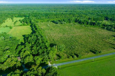 Land in Waldo, Florida № 1277967 - photo 4