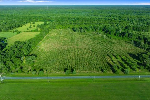 Land in Waldo, Florida № 1277967 - photo 2