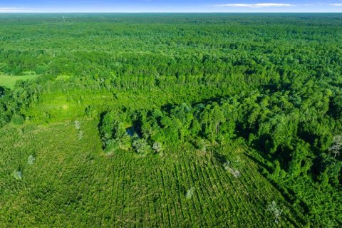 Купить земельный участок в Валдо, Флорида № 1277967 - фото 3