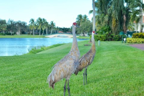 Townhouse in West Palm Beach, Florida 3 bedrooms, 126.35 sq.m. № 1102165 - photo 17