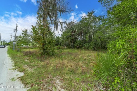 Terreno en venta en Saint Augustine, Florida № 848747 - foto 2