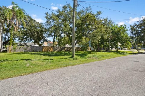 Купить земельный участок в Тампа, Флорида № 798423 - фото 15