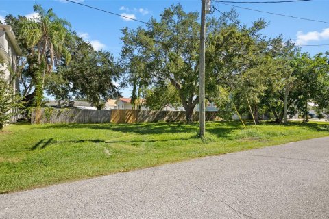 Купить земельный участок в Тампа, Флорида № 798423 - фото 9