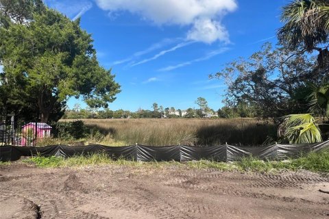 Land in Saint Augustine, Florida № 960924 - photo 5