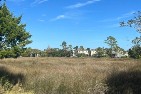 Land in Saint Augustine, Florida № 960924 - photo 7