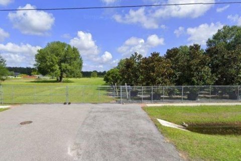 Купить земельный участок в Лутц, Флорида № 213567 - фото 1