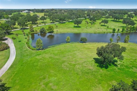 Land in Summerfield, Florida № 1334794 - photo 12