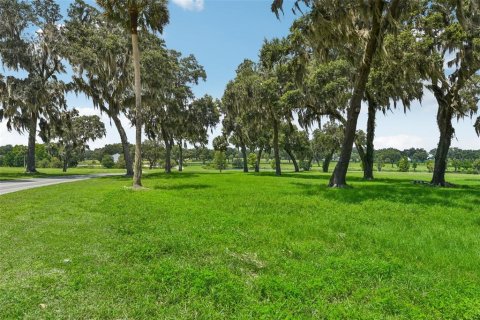 Terrain à vendre à Summerfield, Floride № 1334794 - photo 5