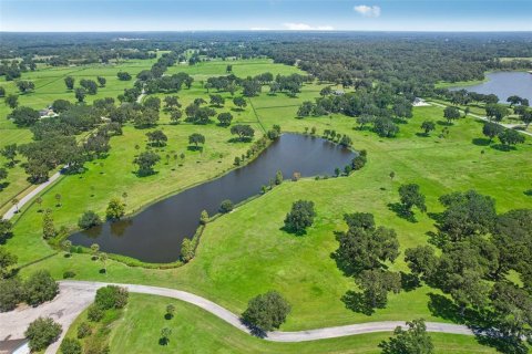 Land in Summerfield, Florida № 1334794 - photo 13