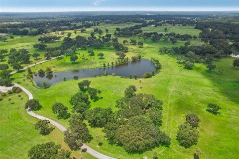 Land in Summerfield, Florida № 1334794 - photo 15