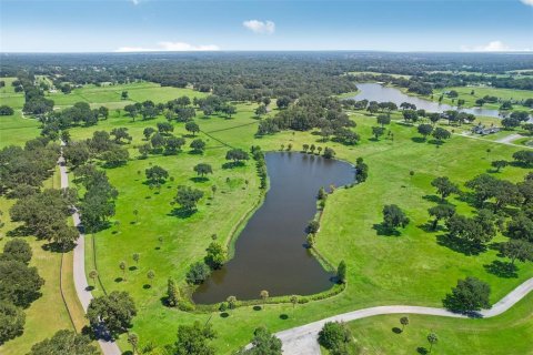 Land in Summerfield, Florida № 1334794 - photo 10